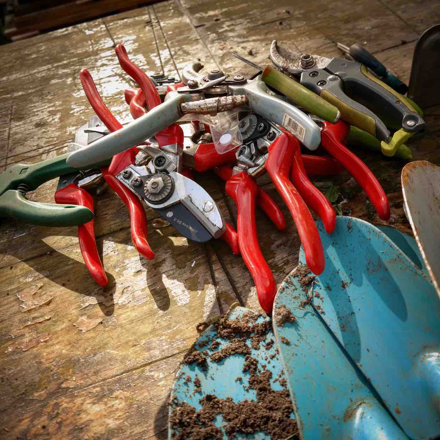 Beeldenbos tuinclub gereedschap